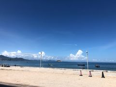 -广东惠东海龟国家级自然保护区