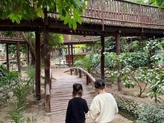 -呀路古热带植物园