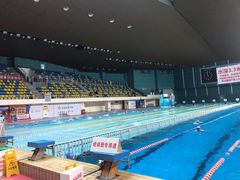 -重庆市奥林匹克体育中心-游泳跳水馆