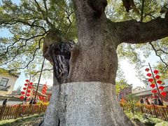 -新安江山水画廊风景区