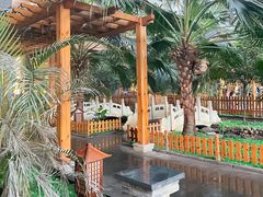 -陆地游轮吉林神农温泉