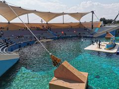 -秦皇岛乐岛海洋王国