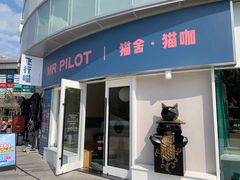 门面-飞行喵MR PILOT|猫舍·猫咖(静安大融城店)