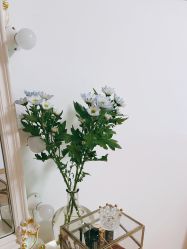 -美肤盾祛痘·问题肌头疗管理中心