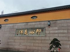 -九华山风景区