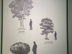 -中国茶叶博物馆(双峰馆区)
