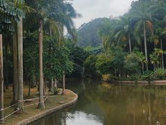 -滴水岩森林公园