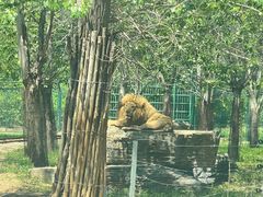 -秦皇岛野生动物园