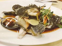 老虎斑-真浪花园海鲜餐馆