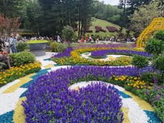 -深圳仙湖植物园