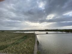 -盐城丹顶鹤湿地生态旅游区