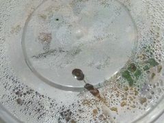 android_upload_pic-幺不倒重庆小面(大梁店)