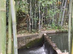 -广东温泉宾馆