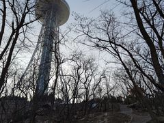 -青岛电视塔