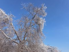 -长春市南湖公园