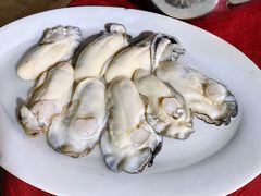 -花苑美食横琴生蚝火锅(拱北粤华路店)