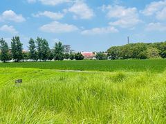 -嘉北郊野公园