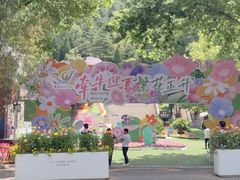-鸡冠洞风景区