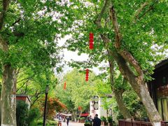 -小河直街历史文化街区