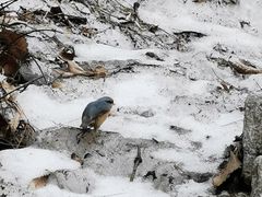 -终南山南五台景区