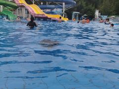 -青年湖公园水上世界