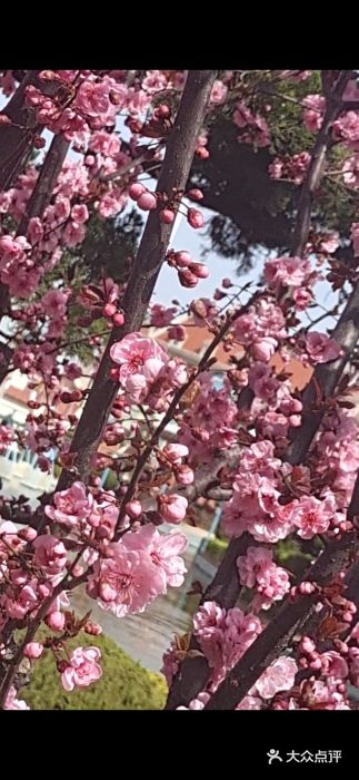 蓬莱欧乐堡梦幻世界图片