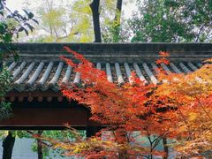 -莲湖公园