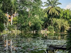 -中国科学院西双版纳热带植物园