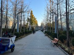 -南宫五洲植物乐园