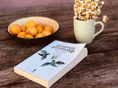 -西单小院·川湘苑