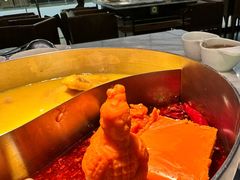 -澳美徕·港式花胶鸡火锅(高新万达店)