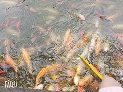 -月牙潭公园