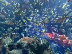 -成都浩海立方海洋公园