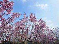 -梁鸿国家湿地公园