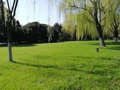 -柳浪闻莺公园