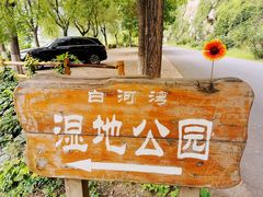 -白河湾生态旅游一条川