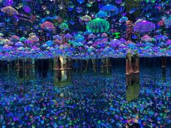 -梵高星空艺术馆(北京旗舰店)