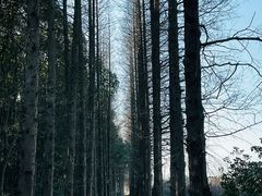 -同里国家湿地公园