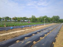 -上膳源有机农场