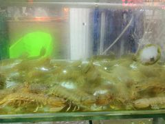 -四海鲜渔家菜(黄金海岸店)