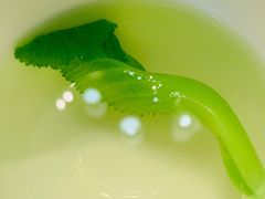-松云泽