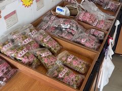 -苏州市吴中区光福窑上花果蜜饯厂