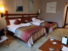 -雅安楠水阁温泉酒店