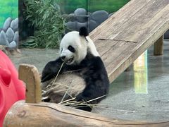 -临沂动植物园