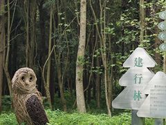 -东平国家森林公园