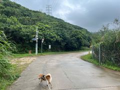 -马峦山郊野公园