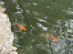-北海公园