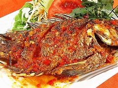 -耶尼亚餐厅Bombay Indian Cuisine印度菜