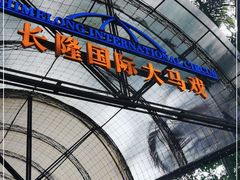 -广州长隆国际大马戏