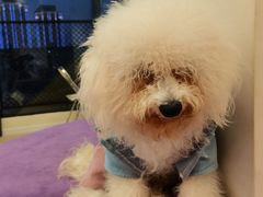 -怪兽屋·羊驼·猫咖·狗咖(俊华广场店)